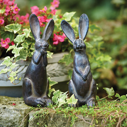 Rabbits (Coming Soon)