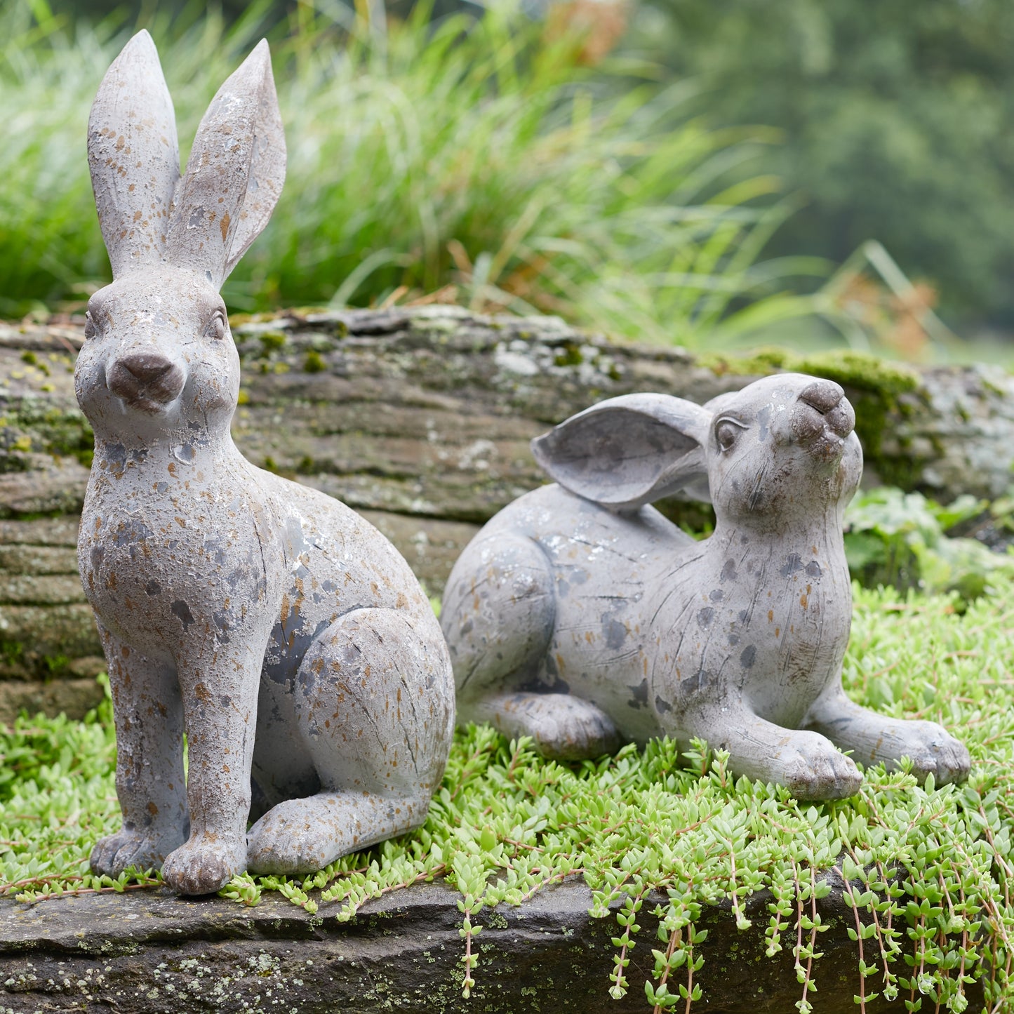 Rabbit Statues (Bunnies)
