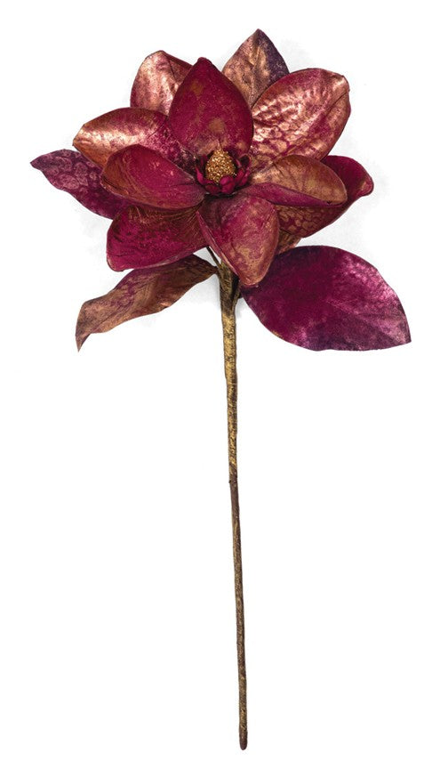Burgundy / Gold Magnolia