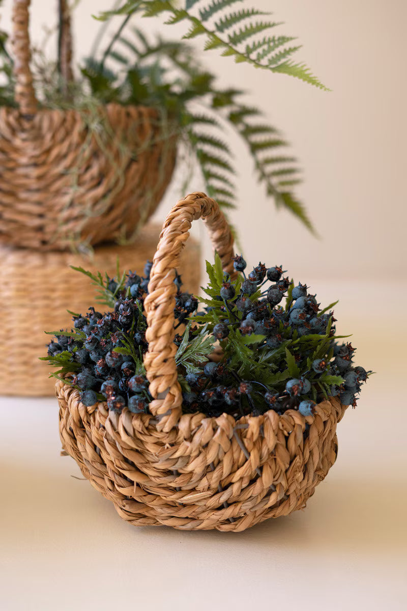 Set of 3 Woven Seagrass Baskets with Handles (Coming Soon)